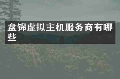 盘锦虚拟主机服务商有哪些