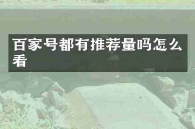 百家号都有推荐量吗怎么看