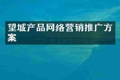 望城产品网络营销推广方案