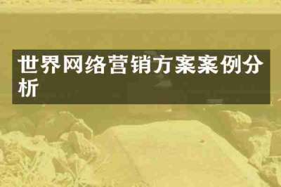 世界网络营销方案案例分析