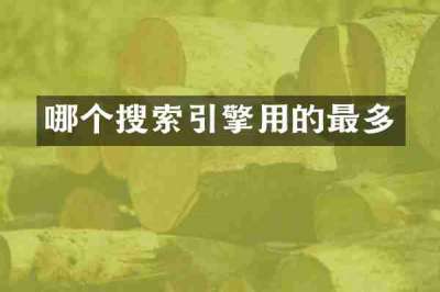 哪个搜索引擎用的最多