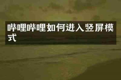哔哩哔哩如何进入竖屏模式