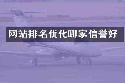 网站排名优化哪家信誉好