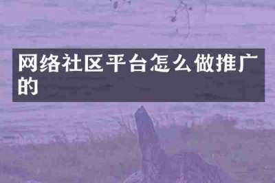 网络社区平台怎么做推广的
