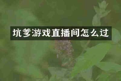 坑爹游戏直播间怎么过