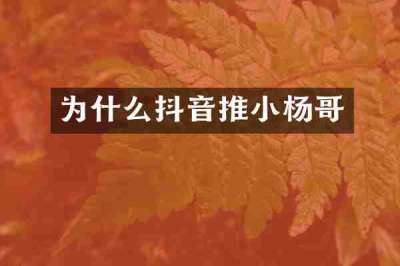 为什么抖音推小杨哥
