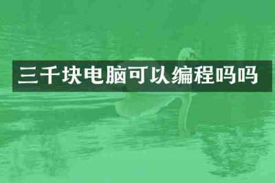 三千块电脑可以编程吗吗