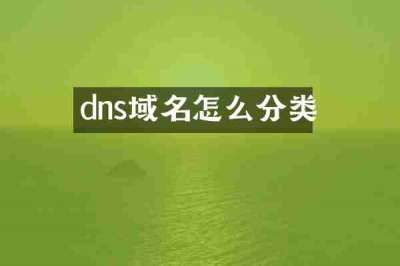 dns域名怎么分类