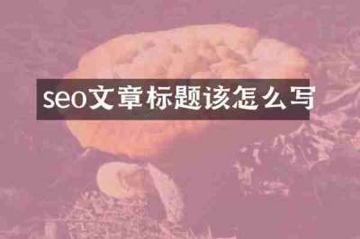 seo文章标题该怎么写