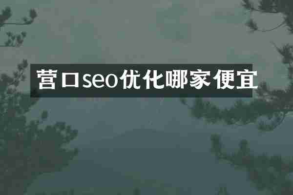 营口seo优化哪家便宜