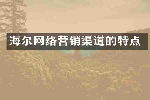 海尔网络营销渠道的特点