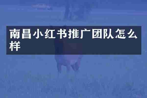 南昌小红书推广团队怎么样