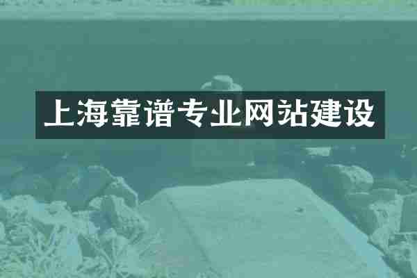 上海靠谱专业网站建设