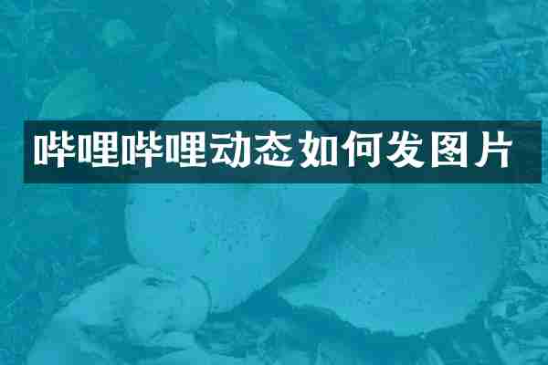 哔哩哔哩动态如何发图片