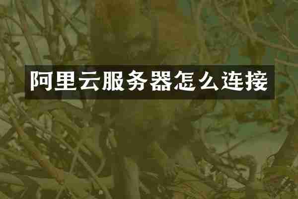 阿里云服务器怎么连接