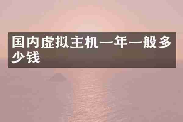 国内虚拟主机一年一般多少钱