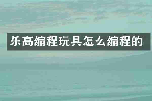乐高编程玩具怎么编程的