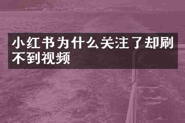 小红书为什么关注了却刷不到视频