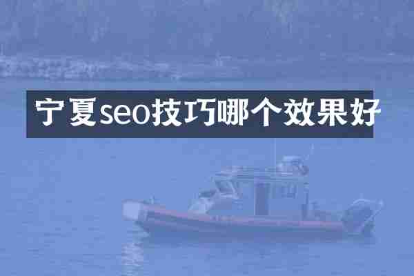 宁夏seo技巧哪个效果好