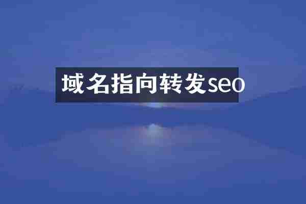 域名指向转发seo