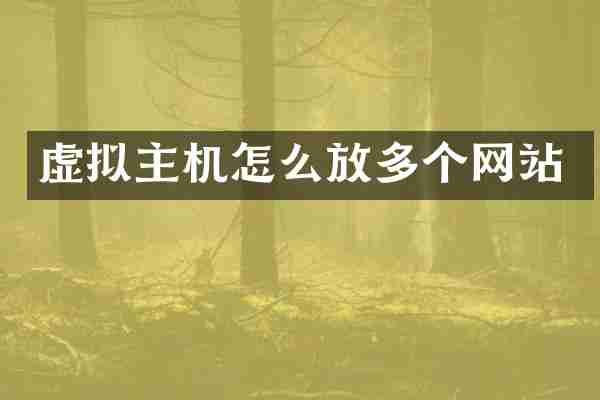 虚拟主机怎么放多个网站