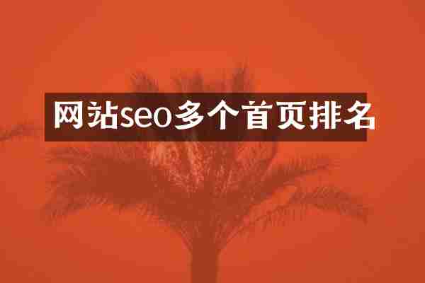 网站seo多个首页排名