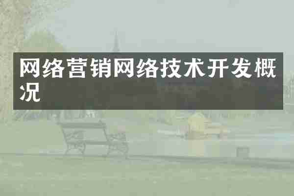 网络营销网络技术开发概况