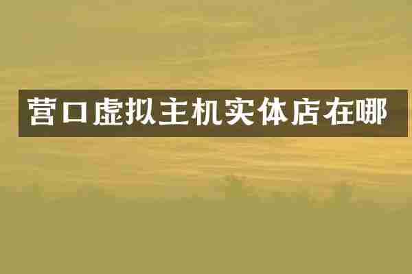 营口虚拟主机实体店在哪