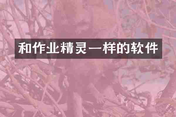 和作业精灵一样的软件