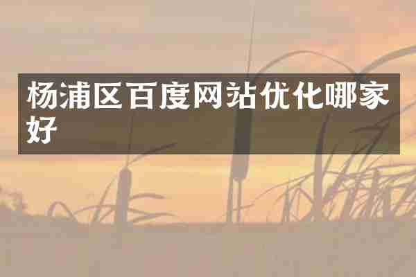杨浦区百度网站优化哪家好