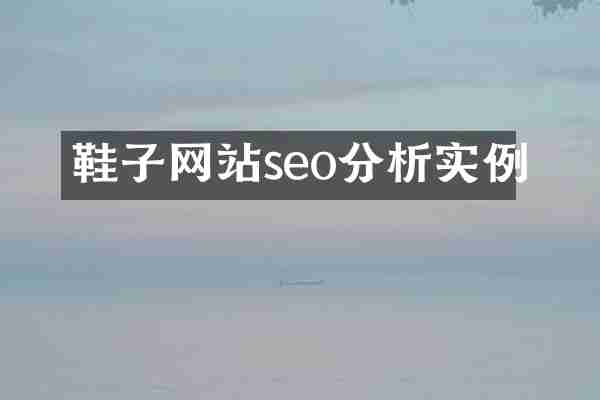 鞋子网站seo分析实例