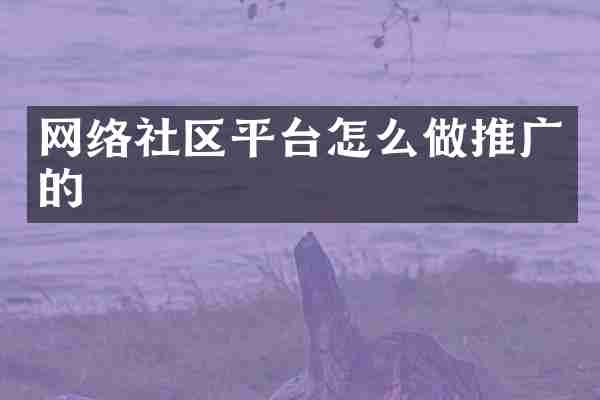 网络社区平台怎么做推广的