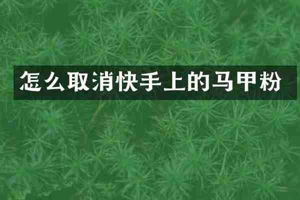 怎么取消快手上的马甲粉