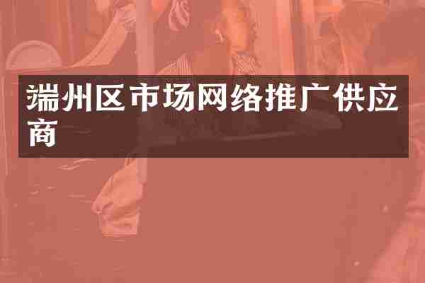 端州区市场网络推广供应商