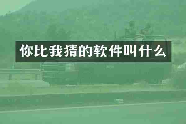 你比我猜的软件叫什么