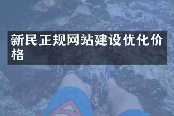 新民正规网站建设优化价格