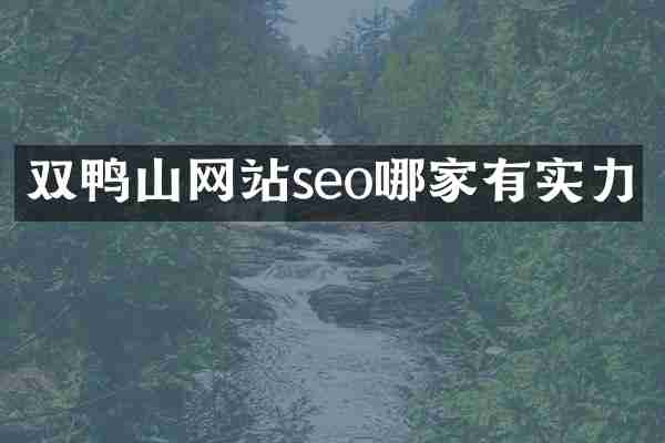 双鸭山网站seo哪家有实力