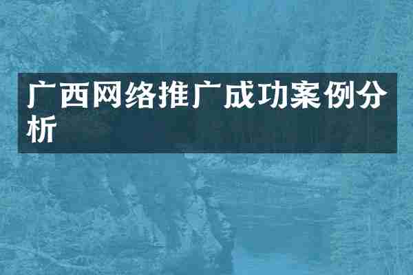 广西网络推广成功案例分析