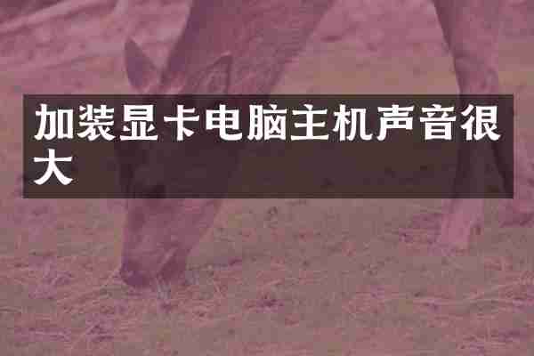 加装显卡电脑主机声音很大