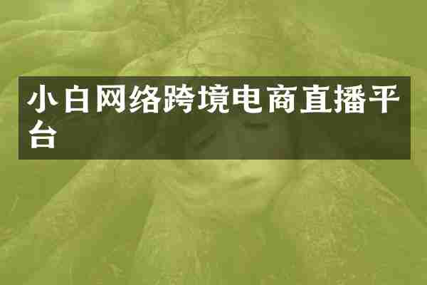 小白网络跨境电商直播平台