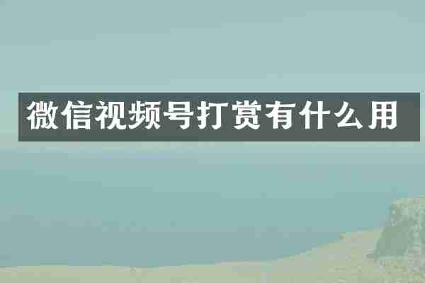微信视频号打赏有什么用