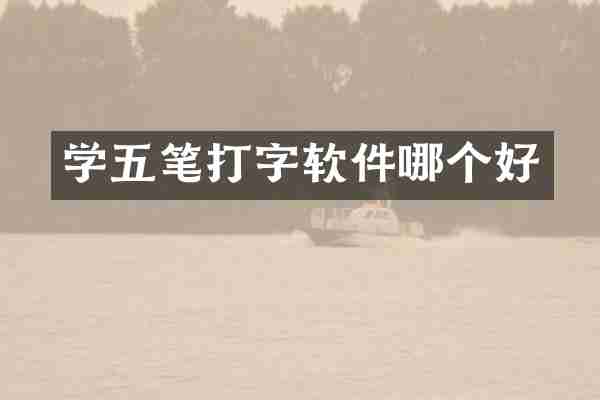 学五笔打字软件哪个好