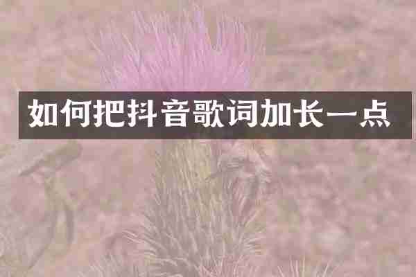 如何把抖音歌词加长一点