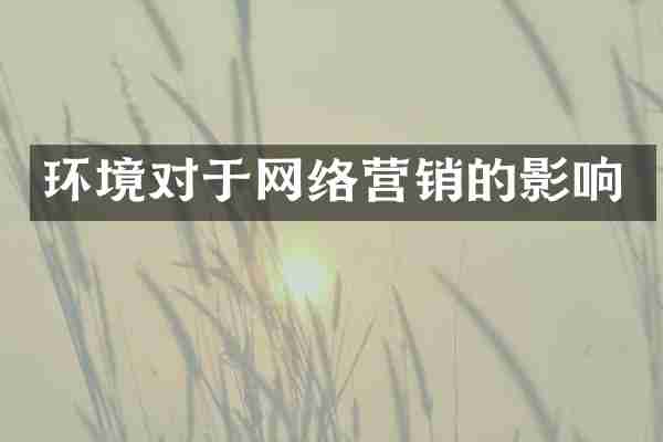 环境对于网络营销的影响