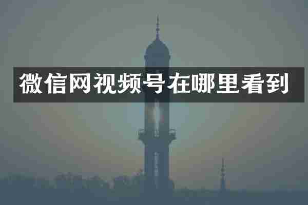 微信网视频号在哪里看到