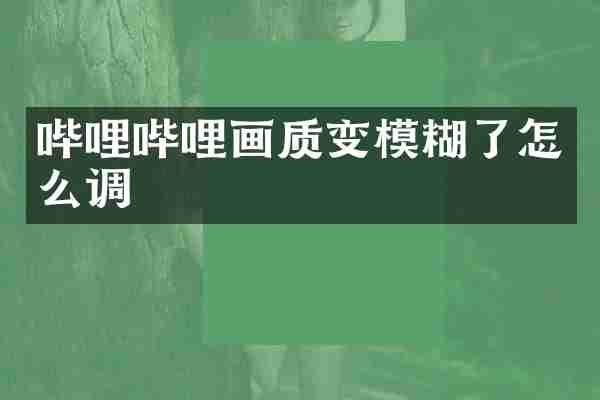 哔哩哔哩画质变模糊了怎么调