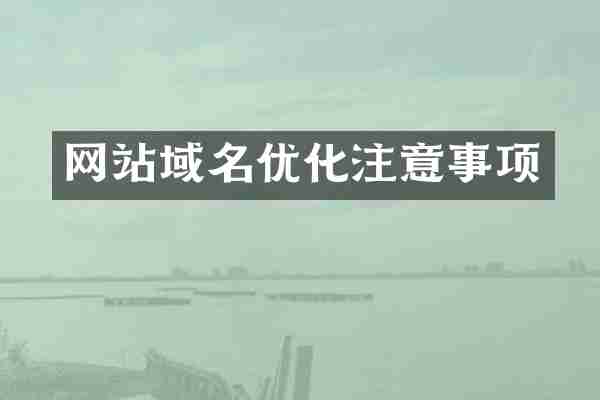 网站域名优化注意事项