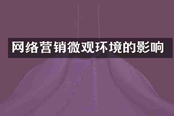 网络营销微观环境的影响