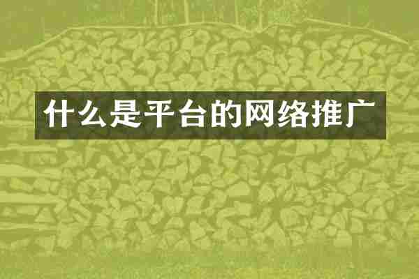 什么是平台的网络推广