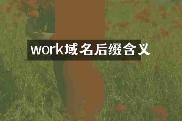 work域名后缀含义
